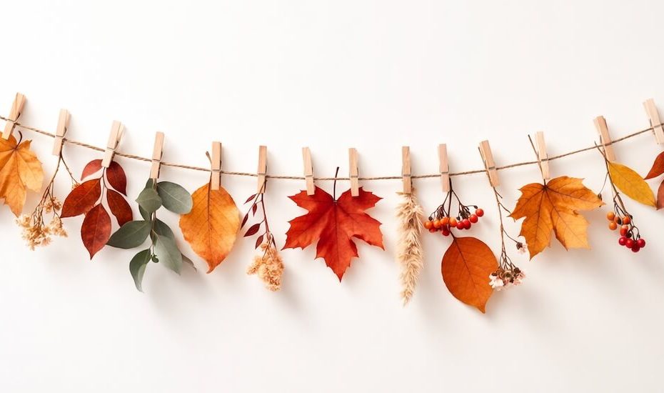 Veränderung - Blätter, die sich verfärben